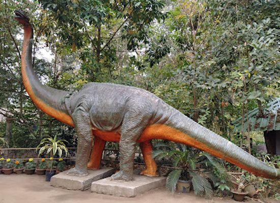 india/kaziranga-national-park/landmark/kaziranga-orchid-park-culture-program