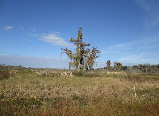 florida/big-bend/landmark/lake-hancock