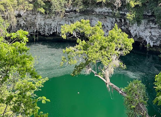 dominican-republic/los-haitises/landmark/the-three-eyes-national-park