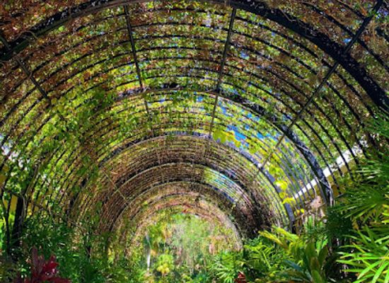 florida/nature-coast/landmark/mckee-botanical-garden