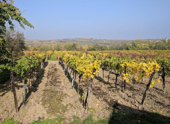 austria/weinviertel/landmark/kellergasse-maulavern