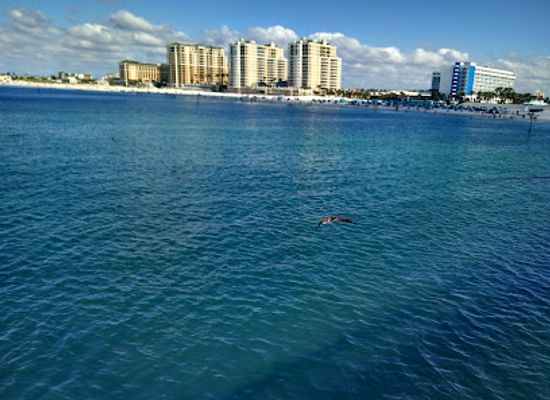 florida/sun-coast/landmark/sunsets-at-pier-60
