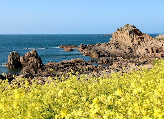 guernsey/vazon-bay/landmark/lions-rock
