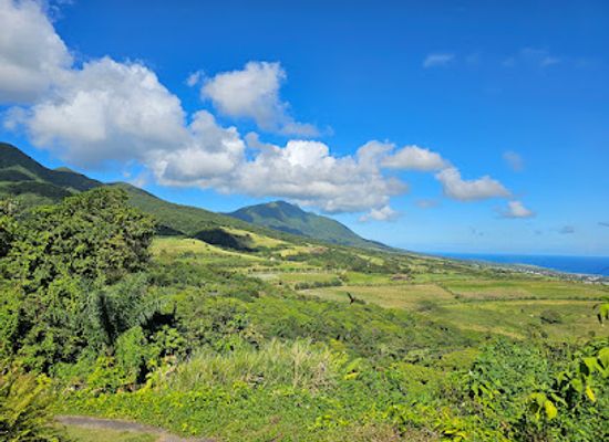 saint-kitts-and-nevis/cayon/landmark/bayfords-estate