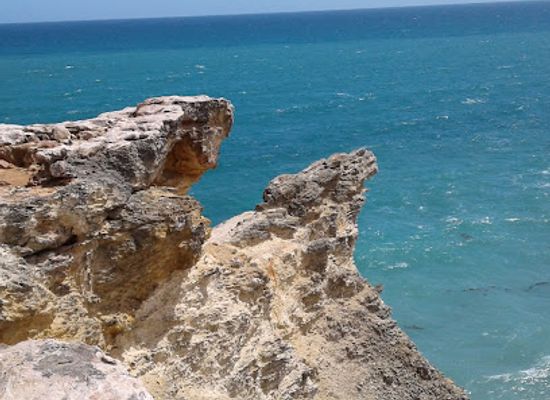 puerto-rico/cabo-rojo/landmark/el-meson-sandwiches-galeria-100