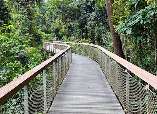singapore/macritchie-reservoir/landmark/windsor-nature-park