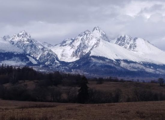 slovakia/tatras/landmark/ladovy-dom
