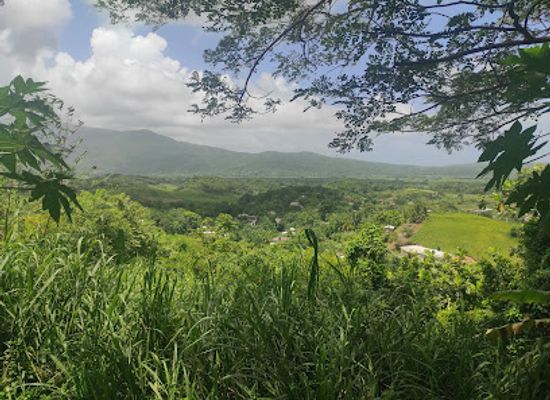 jamaica/yallahs-valley/landmark/stokes-hall-great-house