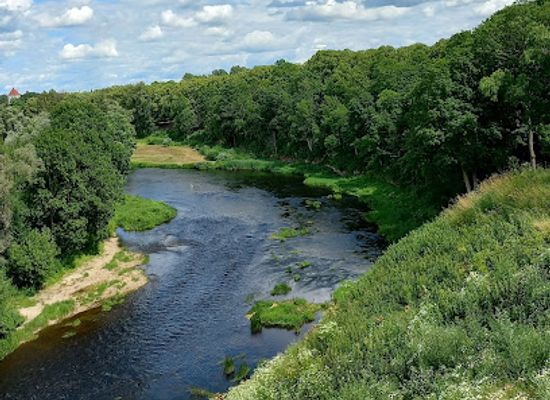latvia/teici-nature-reserve/landmark/bauska-castle-museum
