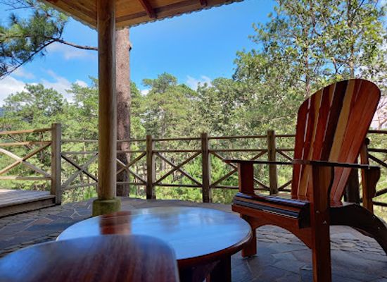 nicaragua/jinotega/landmark/canopy-tour-la-brellera