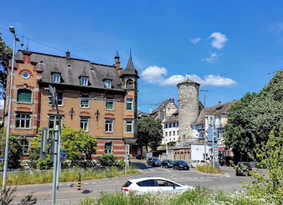switzerland/schaffhausen/landmark/heinrich-moser-denkmal