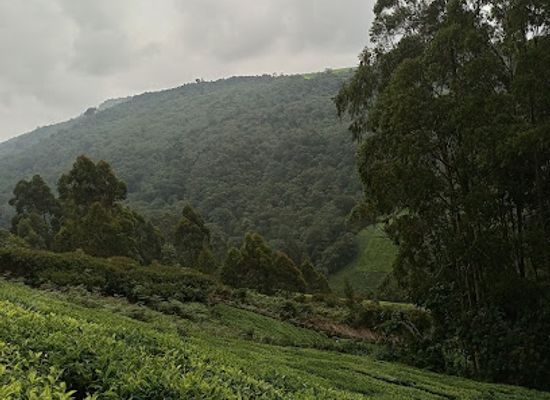 kenya/nyandarua-range/landmark/aberdare-range