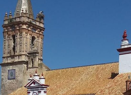 spain/seville/landmark/iglesia-del-divino-salvador