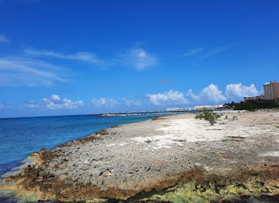 aruba/palm-beach/landmark/bubali-bird-sanctuary