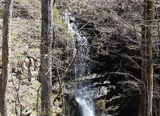 alabama/cumberland-plateau/landmark/lost-sink-falls