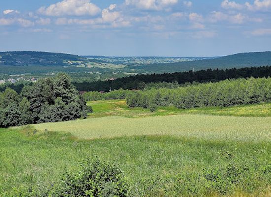 poland/góry-Świętokrzyskie/landmark/lysica