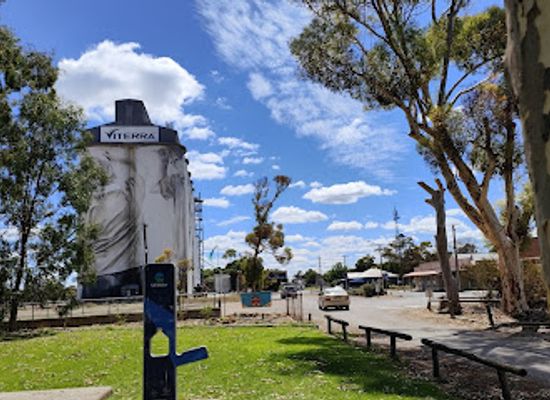 australia/coorong/landmark/coonalpyn-silo-mural