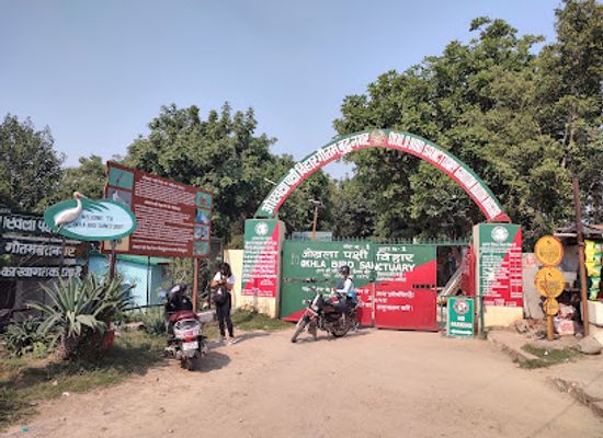 india/ganga-yamuna-doab/landmark/okhla-bird-sanctuary