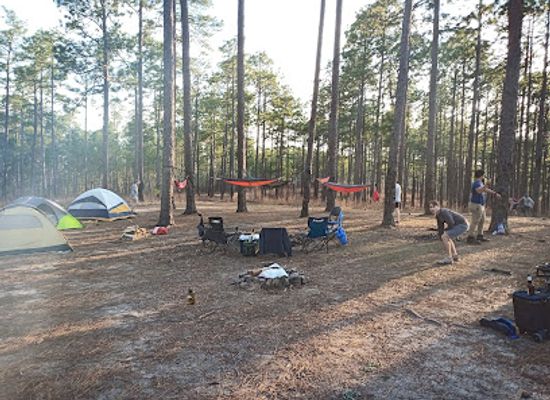 alabama/tuskegee-national-forest/landmark/tuskegee-national-forest-campsite-12