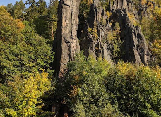 czechia/czech-forest/landmark/slavkov-forest