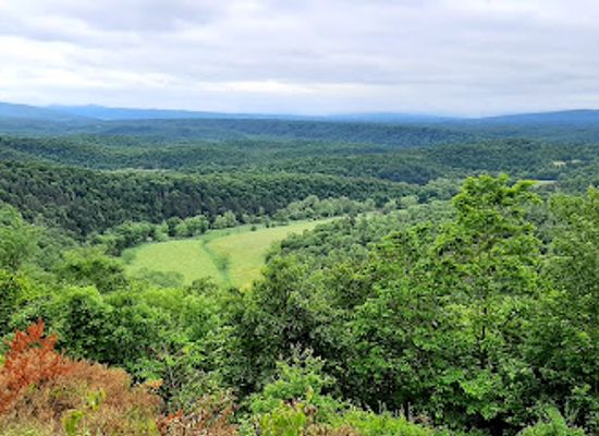maryland/green-ridge-state-forest/landmark/log-roll-overlook