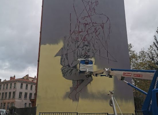 france/lyon/croix-rousse/landmark/mur-des-tapis