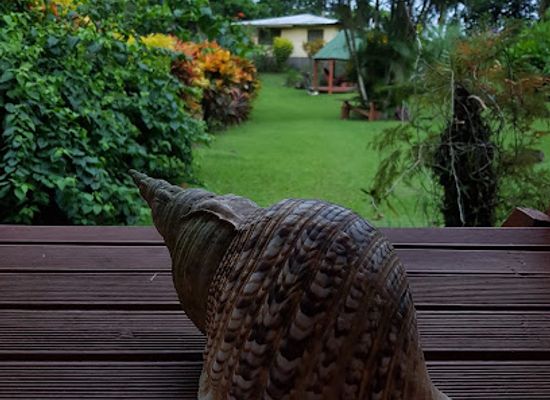 fiji/central-division/landmark/bobo-s-farm