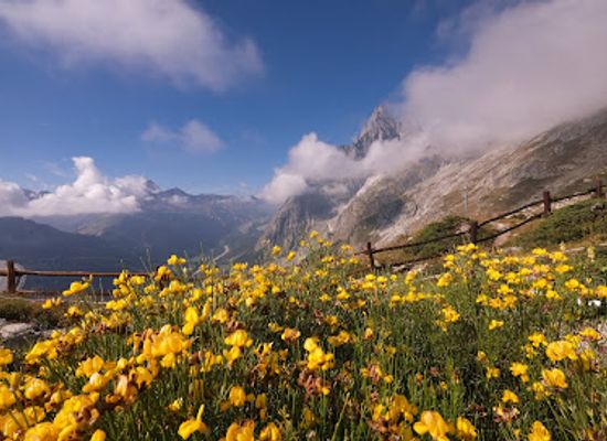italy/aosta-valley/landmark/saussurea-alpine-botanical-garden