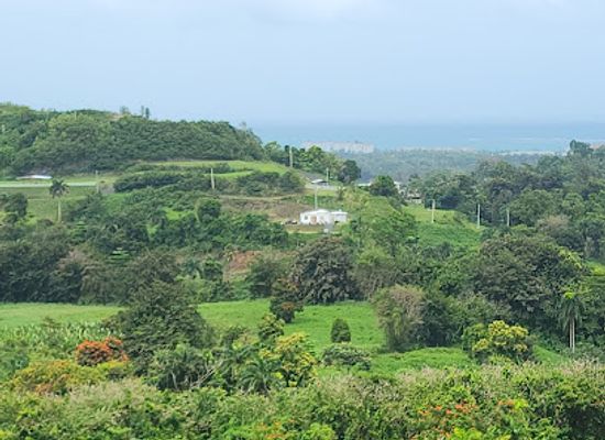 puerto-rico/el-yunque-national-forest/landmark/carabali-rainforest-park