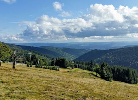 germany/ore-mountains/landmark/stoneman-miriquidi-annaberg-buchholz