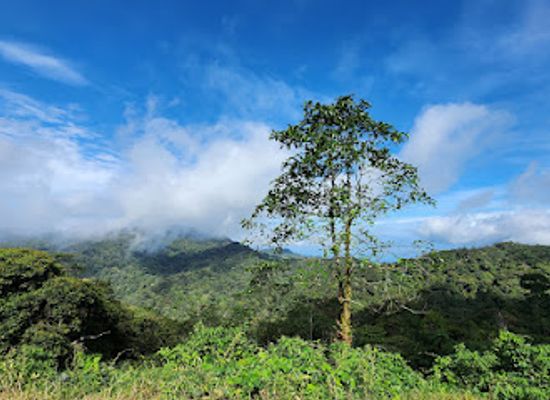 malaysia/sabah/landmark/crocker-range-national-park