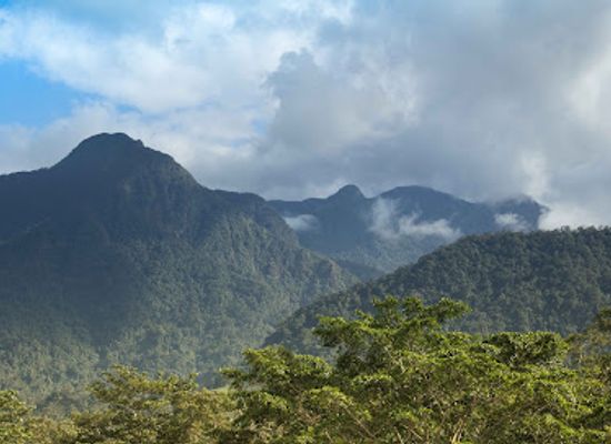 honduras/lempira-region/landmark/parque-nacional-pico-bonito
