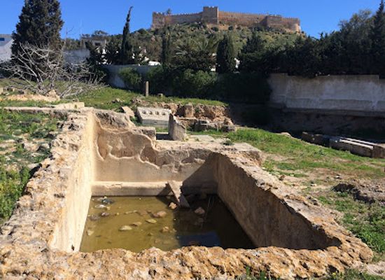 tunisia/kelibia/landmark/ruines-de-kelibia