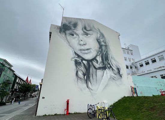 iceland/northwestern-region/landmark/dimmalimm-mural-by-guido-van-helten