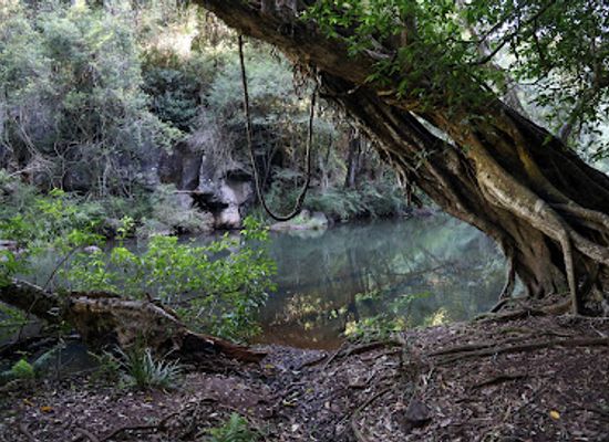 australia/northern-rivers/landmark/northern-rivers-locations