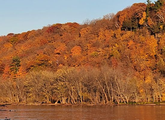 minnesota/minnesota-driftless-area/landmark/st-croix-boom-site-state-wayside