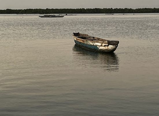 senegal/ziguinchor/landmark/un-pied-dans-l-eau