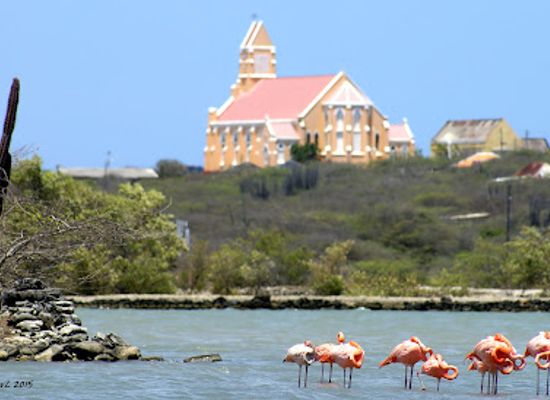 curacao/sabana-westpunt/landmark/flamingos