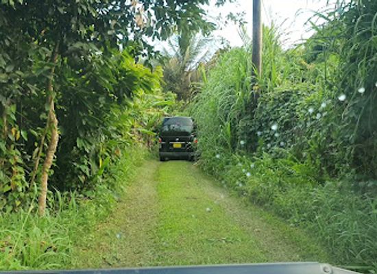 grenada/gouyave/landmark/sabrina-s-treehouse