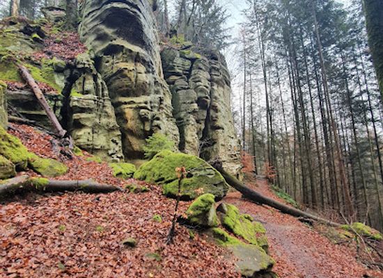 germany/eifel-national-park/landmark/teufelsschlucht