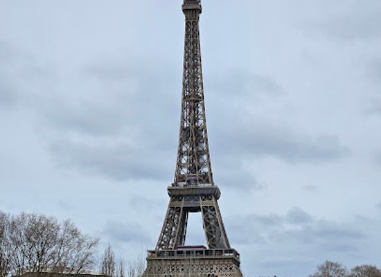 france/ile-de-france/landmark/flame-of-liberty
