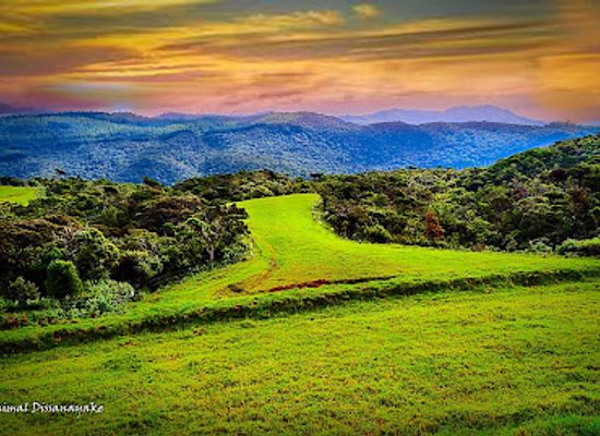 sri-lanka/hill-country/landmark/moon-plains