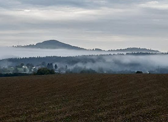 germany/upper-palatinate/landmark/steinwald