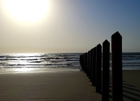 texas/corpus-christi/padre-island/landmark/the-pilings