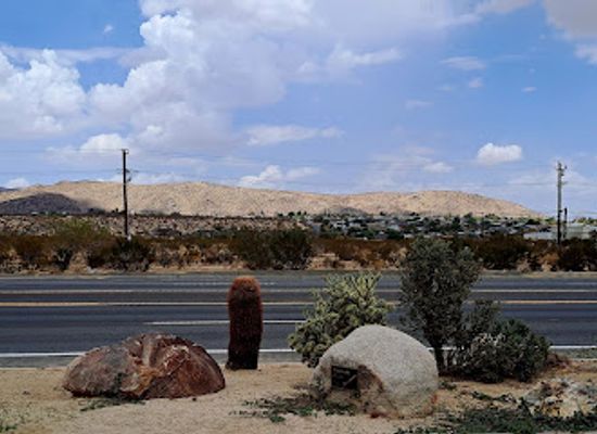 california/joshua-tree/landmark/murtle-the-turtle-sculpture