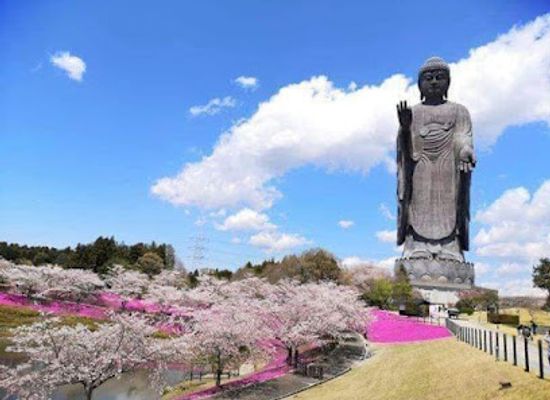 japan/hitachi/landmark/ushiku-daibutsu