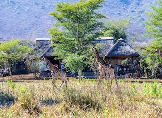 eswatini/lubombo/landmark/royal-jozini-private-game-reserve