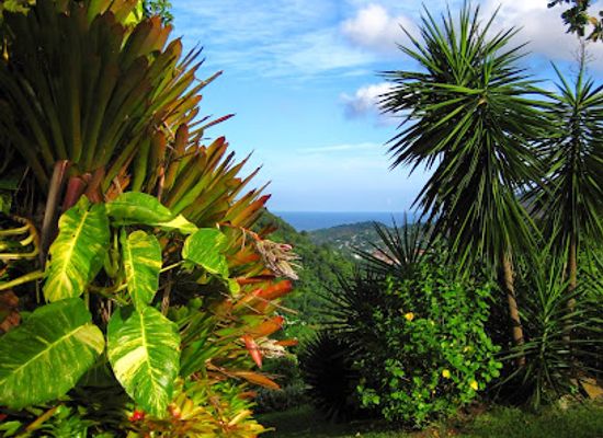grenada/la-sagesse-beach/landmark/sunnyside-garden