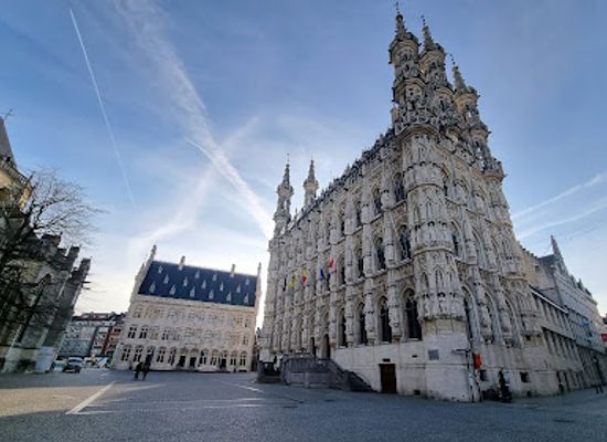 belgium/leuven/landmark/grote-markt