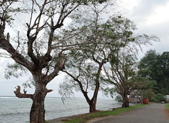 solomon-islands/gizo-island/landmark/gizo-hospital